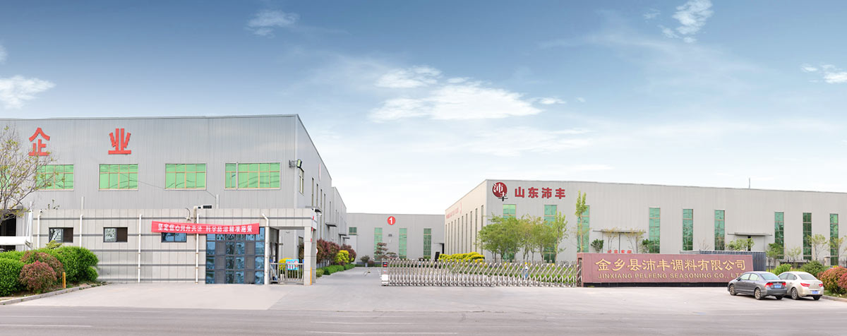 公司简介